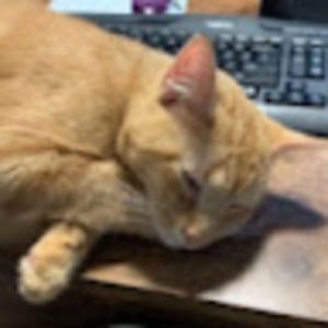 Meet your Posher, Jen